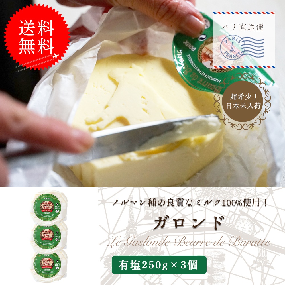 【送料無料・3個セット】ガロンド 有塩バター 250g×3個セット｜Reo社製 フランス ノルマンディー産 発酵バター 手作り 殺菌乳 日本未入荷｜Le Gaslonde パリ直送