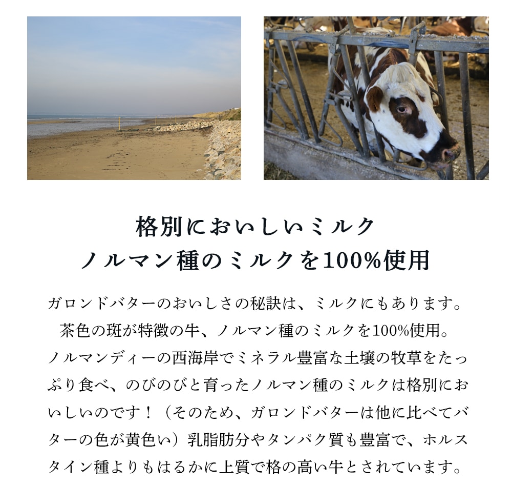 【送料無料・3個セット】ガロンド 有塩バター 250g×3個セット｜Reo社製 フランス ノルマンディー産 発酵バター 手作り 殺菌乳 日本未入荷｜Le Gaslonde パリ直送