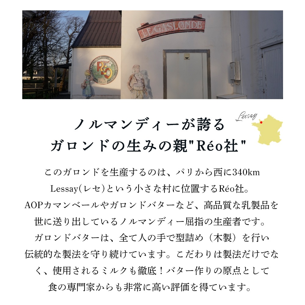 【送料無料・6個セット】ガロンド 有塩バター 250g×6個セット｜Reo社製 フランス ノルマンディー産 発酵バター 手作り 殺菌乳 日本未入荷｜Le Gaslonde パリ直送