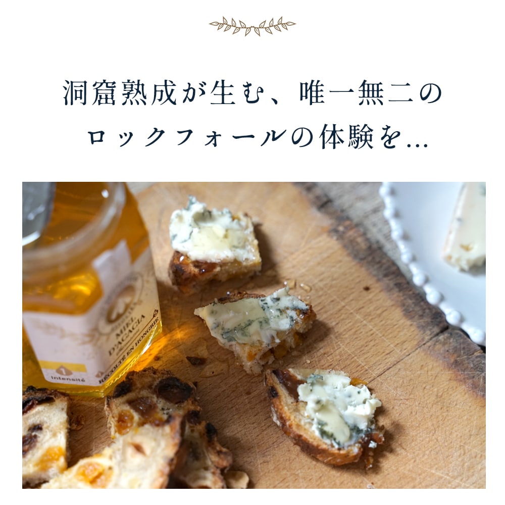 【パリ直送】ロックフォール 100g｜AOP認証 パピヨン社製 フランス産 ブルーチーズ 青カビチーズ 羊乳 無殺菌乳｜世界三大ブルーチーズ Roquefort Papillon Rouge