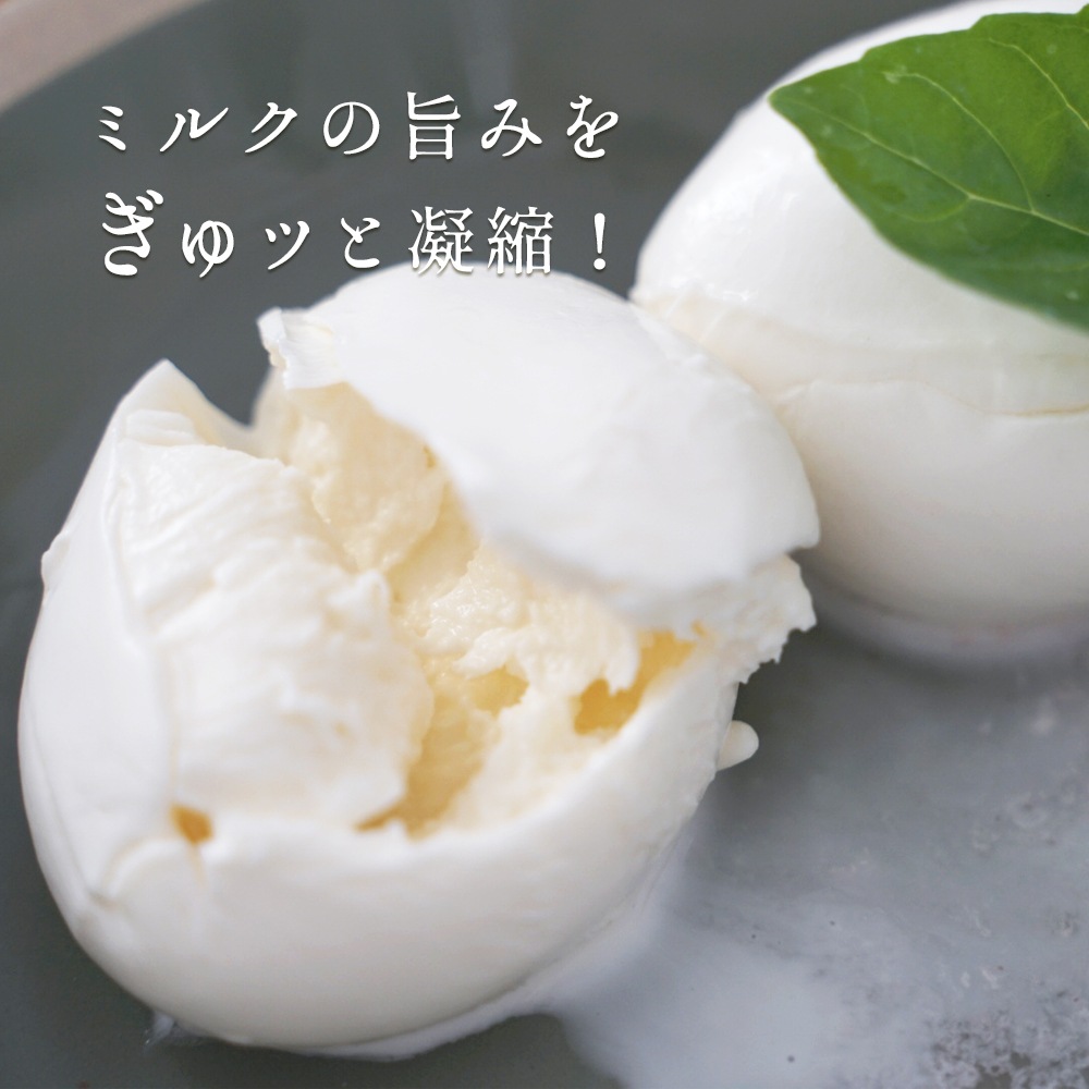 フィオール ディ ラッテ100g (総重量水分容器含め200g) / 1個 モッツアレラ イタリア フレッシュ 新鮮 ヨーロッパから冷蔵で直送