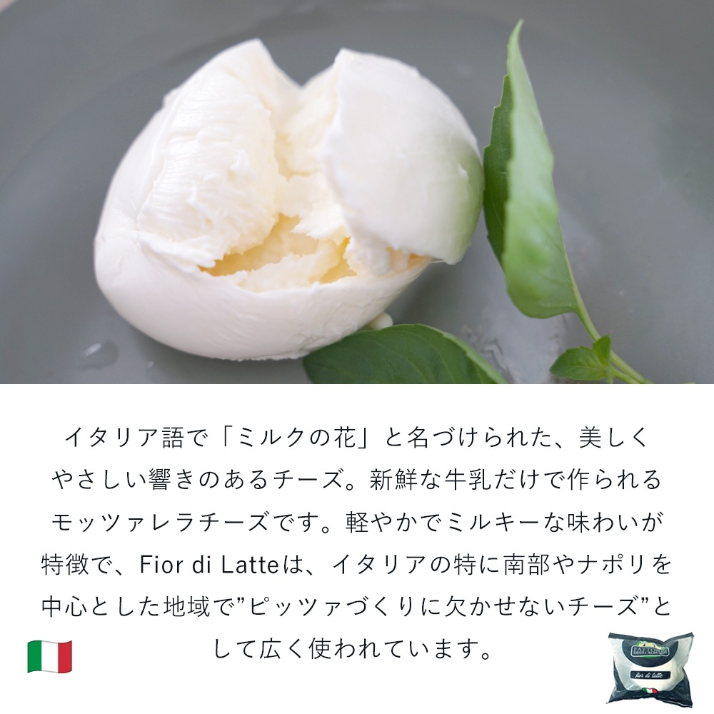フィオール ディ ラッテ100g (総重量水分容器含め200g) / 1個 モッツアレラ イタリア フレッシュ 新鮮 ヨーロッパから冷蔵で直送