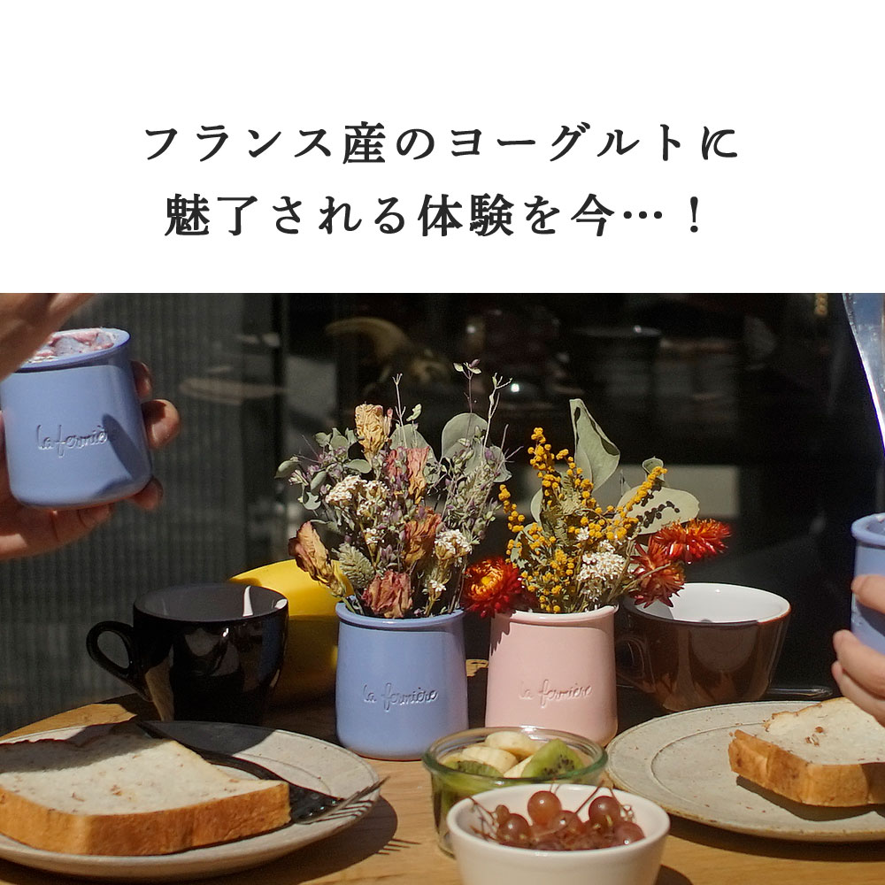 ヨーグルト ラ・フェルミエール ＜はちみつ＞140g (総重量 陶器含め330g) 日本未入荷 la fermiere はちみつ