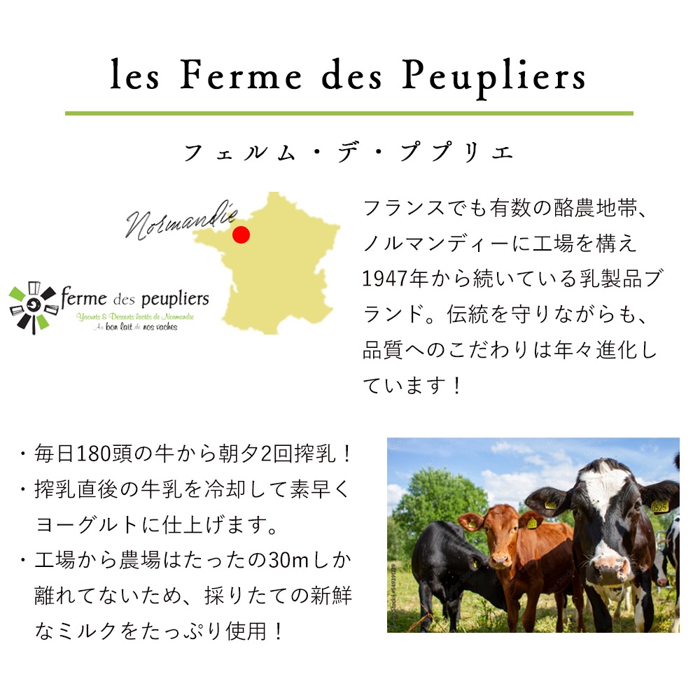 ププリエ スキール 【480g】 チーズ ヨーグルト スキル SKYR FERME DES PEUPLIERS  アイスランドの伝統的な乳製品 フランス産 パリ 直送 日本未入荷