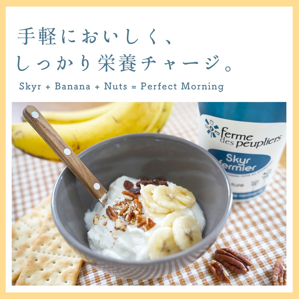 ププリエ スキール 【480g】 チーズ ヨーグルト スキル SKYR FERME DES PEUPLIERS  アイスランドの伝統的な乳製品 フランス産 パリ 直送 日本未入荷