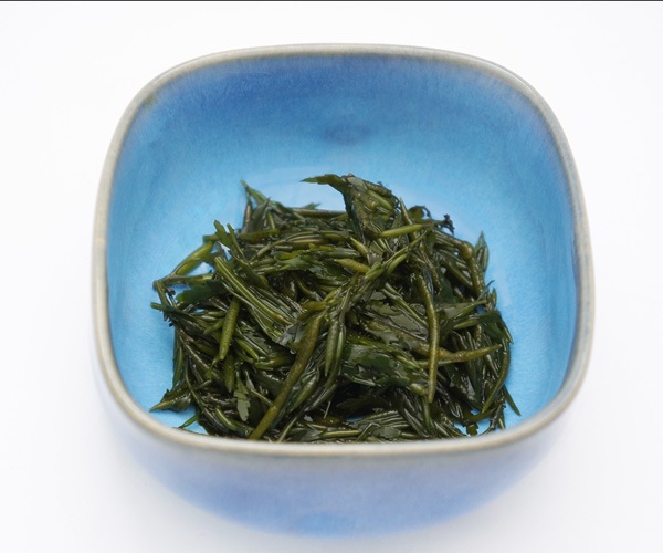 ��Ҿ��ڻ���ŷ�������������⤯