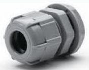 �ңУǣ��ݣ���