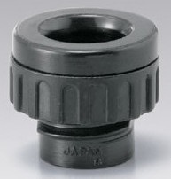 �£գ���������