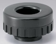 �£գ���������