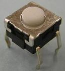 �£��סݣ�������