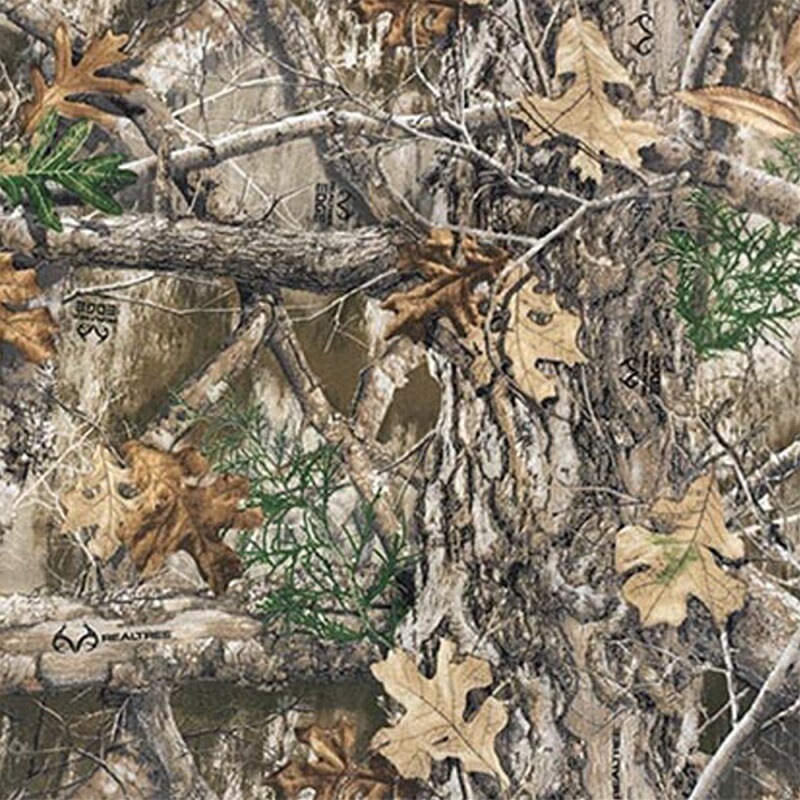 Ballistics 新型ギアコンテナ [BAA-2119]