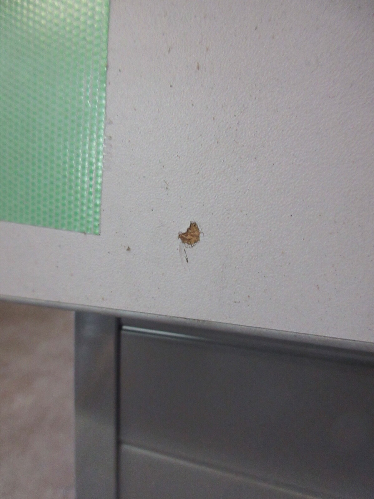 ���������W1800�ե�åץơ��֥� mf2