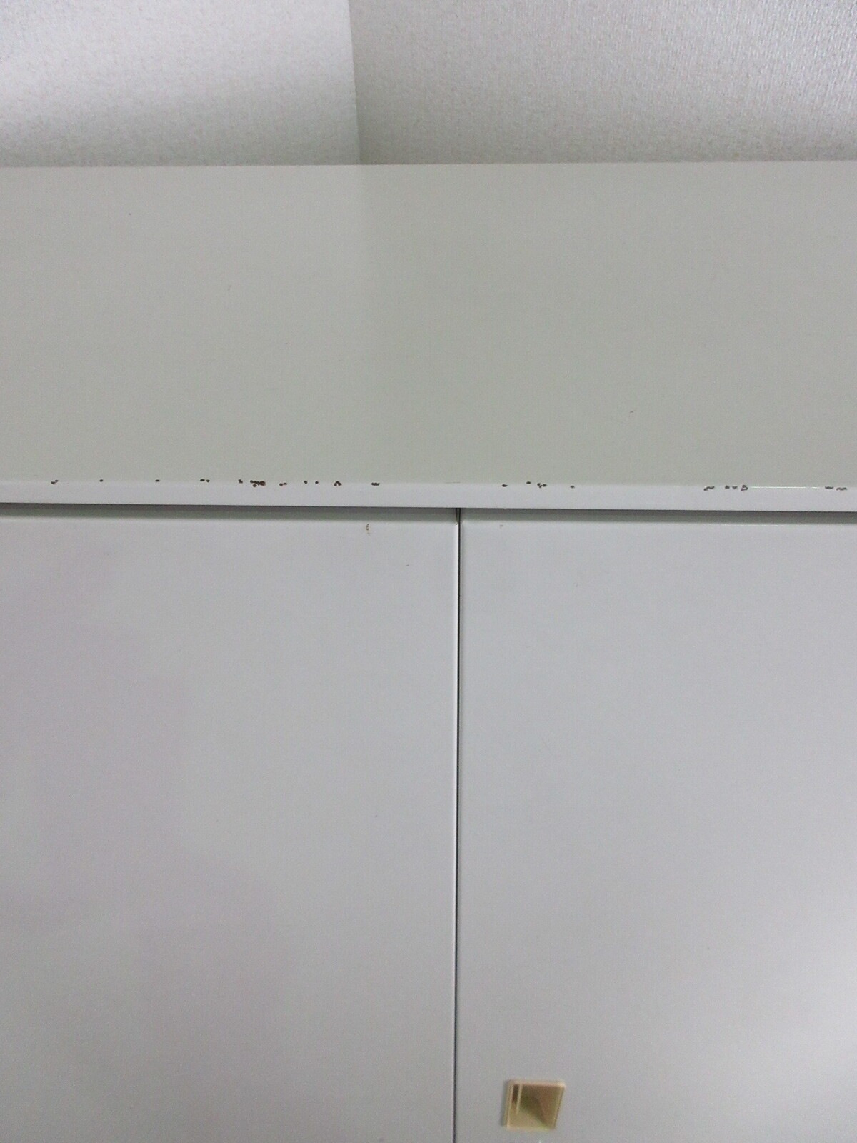 ξ�����ݴɸ� rh22