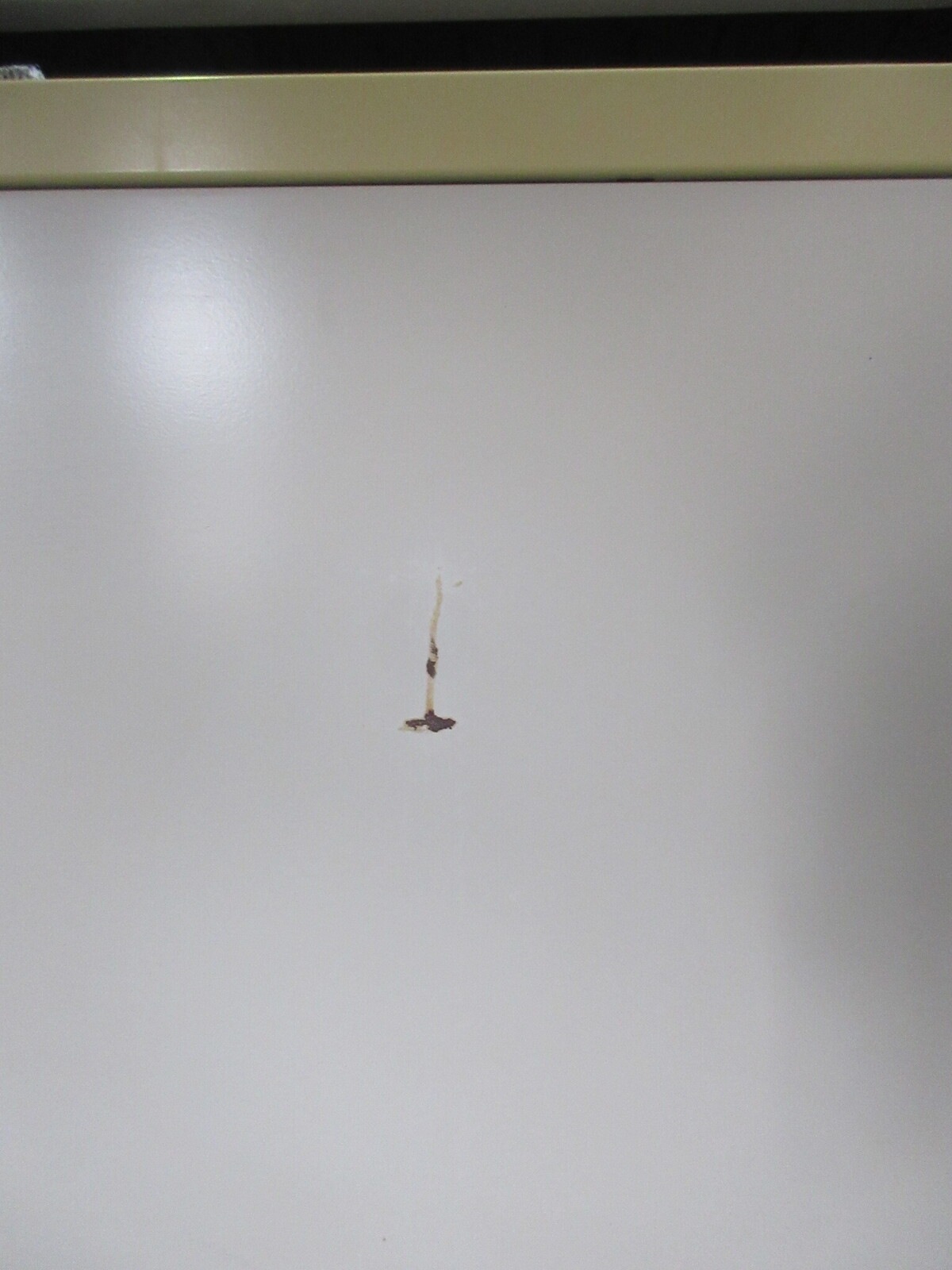 W1400ξµ�� rsd11