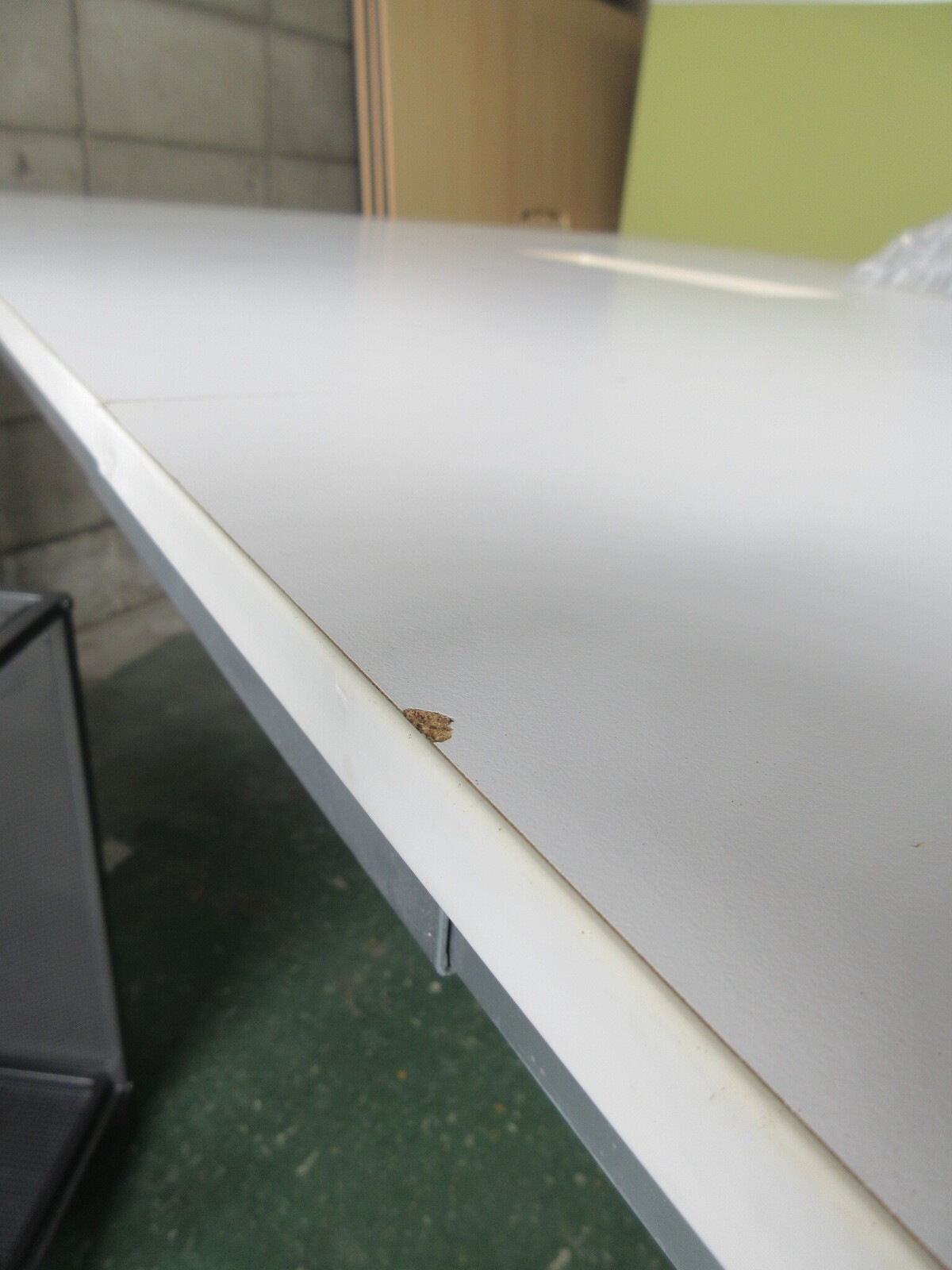 W2400ե꡼ɥ쥹ǥ fre2