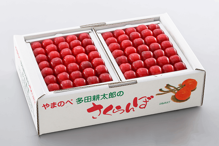 佐藤錦（本詰）Lサイズ/500g×2パック