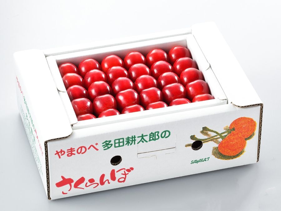 紅てまり(本詰)2段本詰 L~2L/約500g