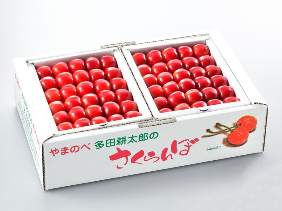紅てまり（本詰）2段本詰 L～2L/約500g×2パック
