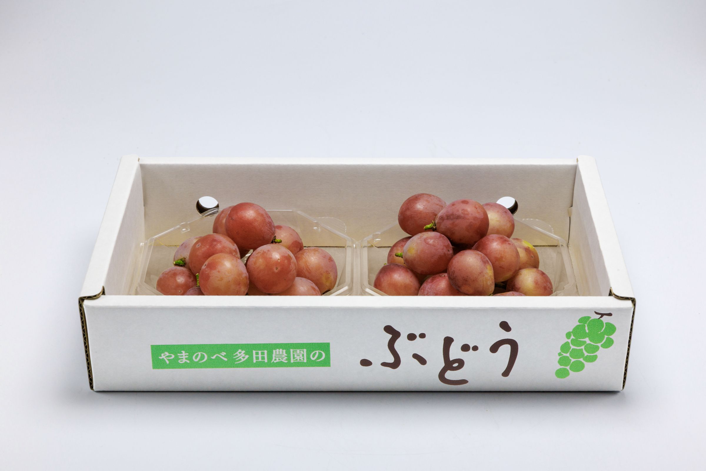 クイーンニーナ ダイヤパック バラ/250g×2パック