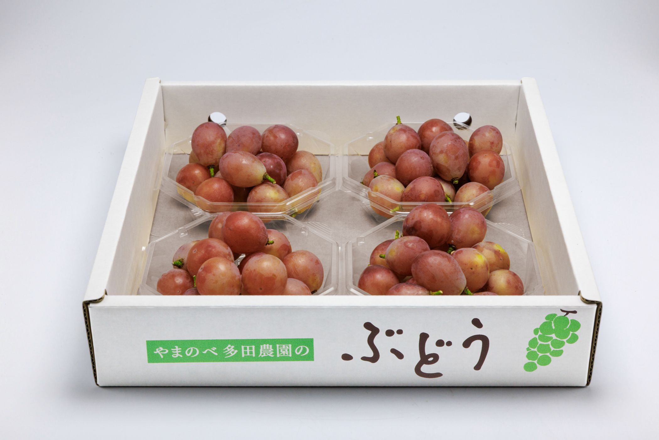 クイーンニーナ ダイヤパック バラ/250g×4パック