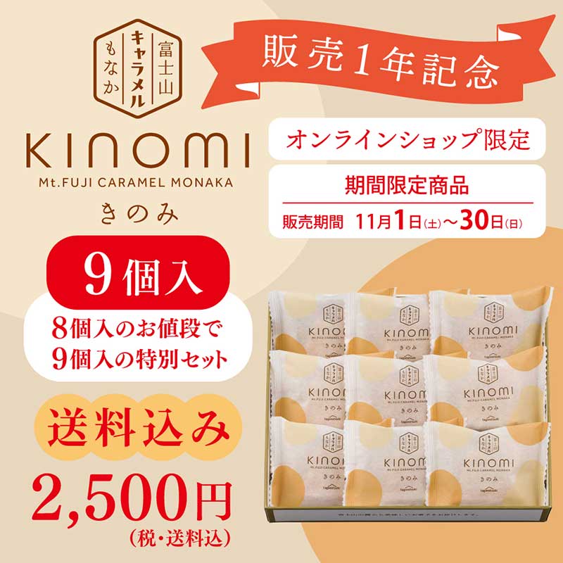 きのみ 9個入【送料込み】