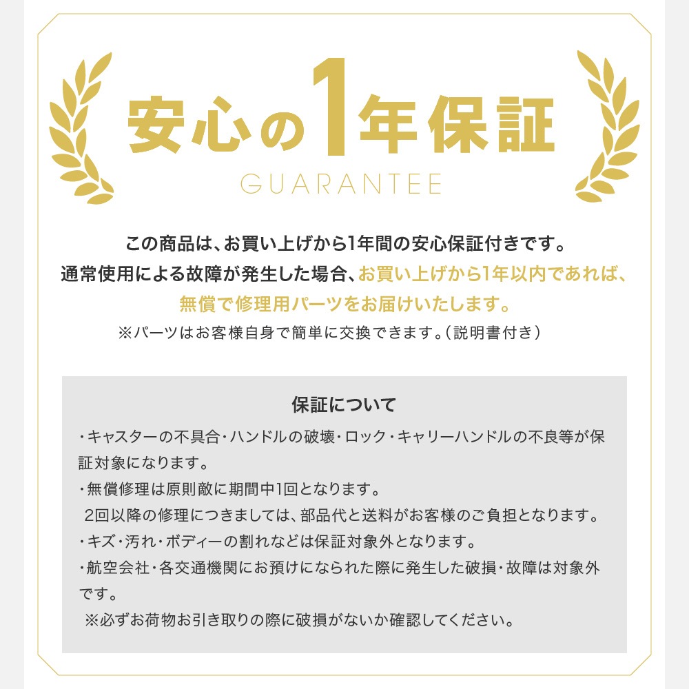【感動静音＆ワンタッチ交換キャスター】 特許取得フレーム搭載 BRIGHTECH ブライテック スーツケース キャリーバッグ LLサイズ キャリーケース 93L 送料無料 １年保証 TSAロック 4輪 大型 ダブルキャスター 海外旅行 MCR28
