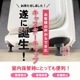 BRIGHTECH ブライテック キャスターキャップ　ワンタッチ交換キャスターに装着可能