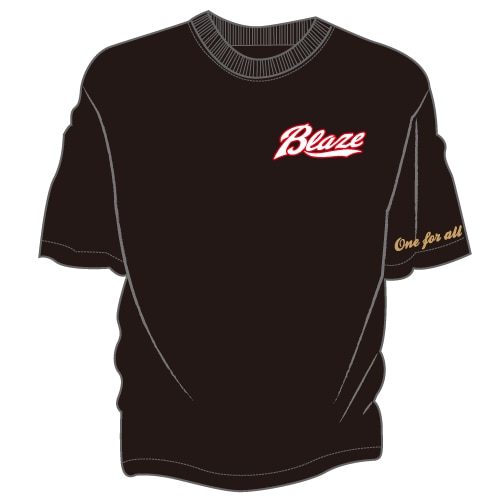 �����̎ގڎ����ޡ������T������