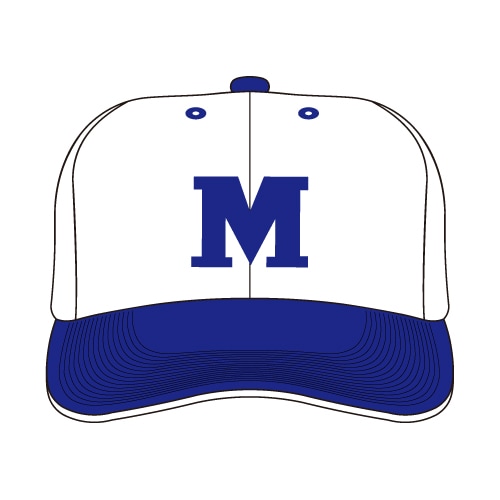 ����Τ�ۥ���֡��ݸ���ѥ���å�