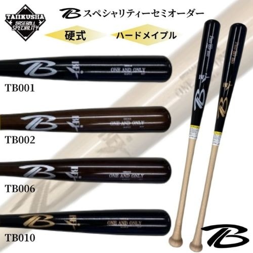 TB �ϡ��ɥᥤ�ץ롡�ż������Хåȡ����ڥ����ƥ������ߥ������������硡�ΰ�Ҹ���