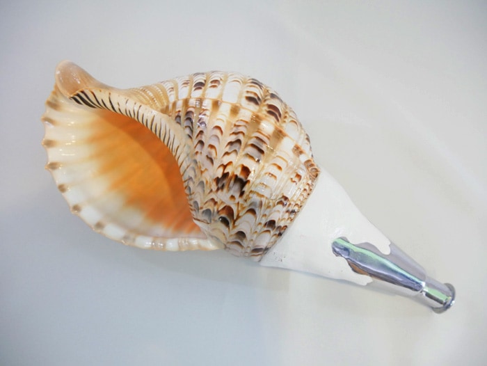 法螺貝・歌口　取り付け　【送料込】