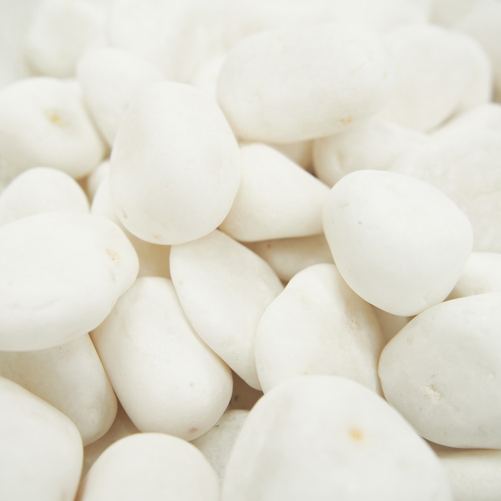 白仙華 1寸 20kg