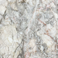 大理石 フィオリデペスコ  本磨き 400×400×13mm