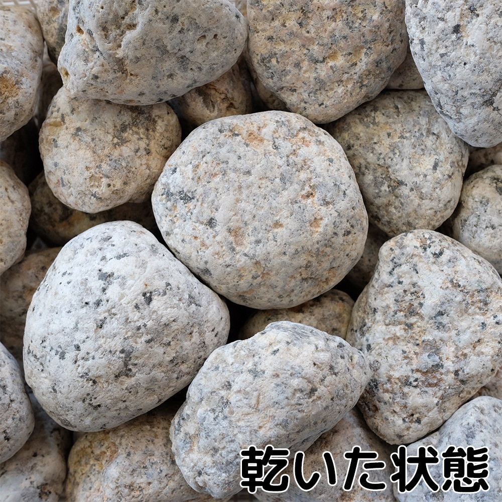 伊勢ゴロタ 1.5寸 20kg