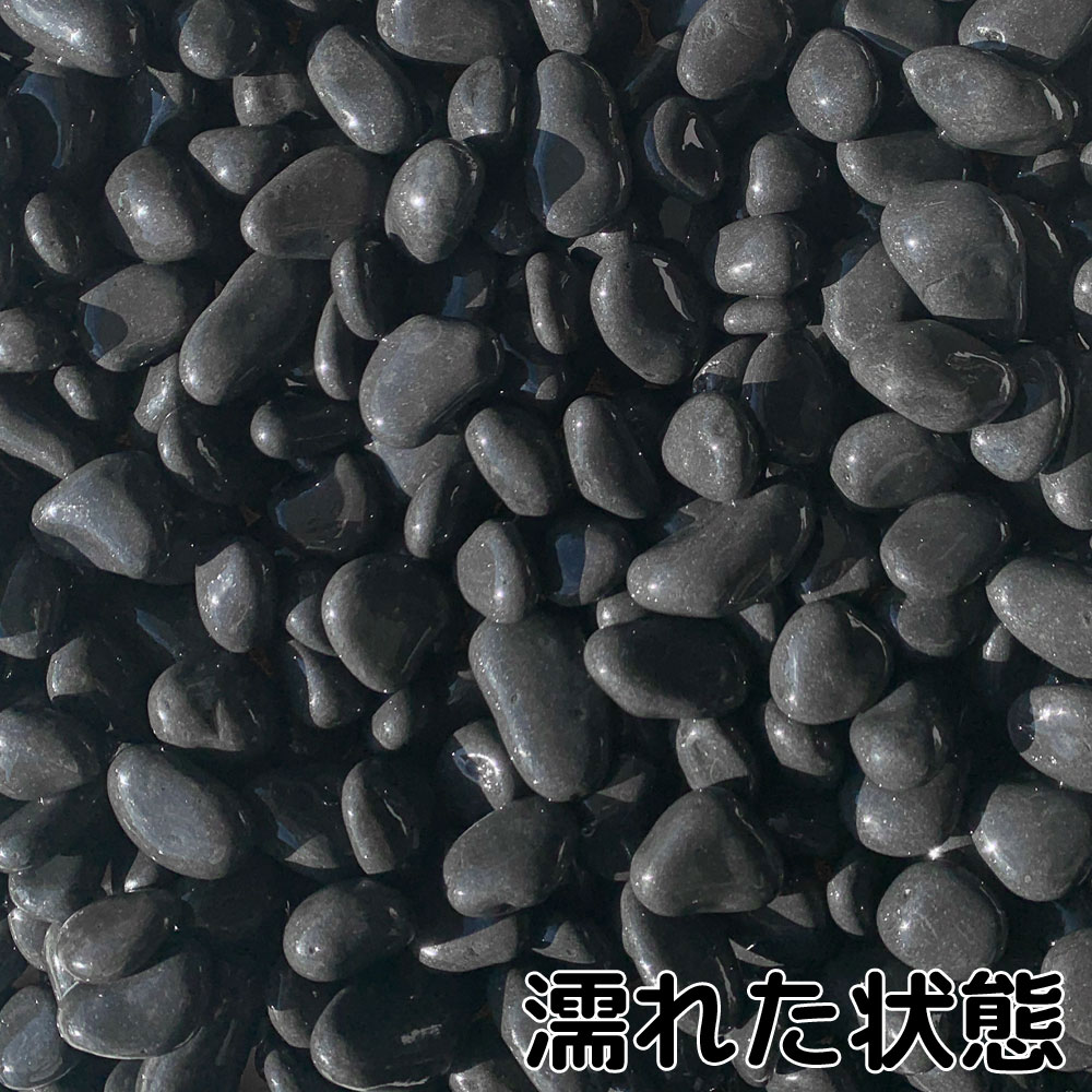 特撰那智 8分 20kg