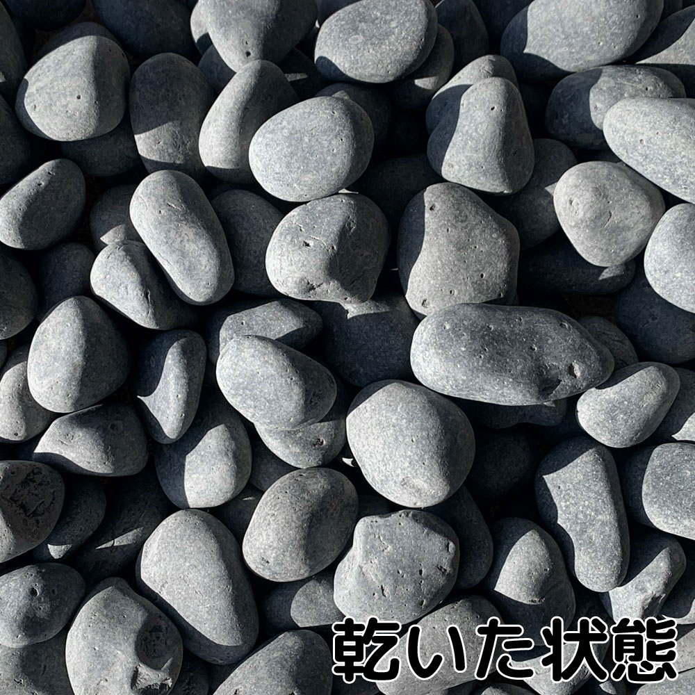 特撰那智 1寸 20kg