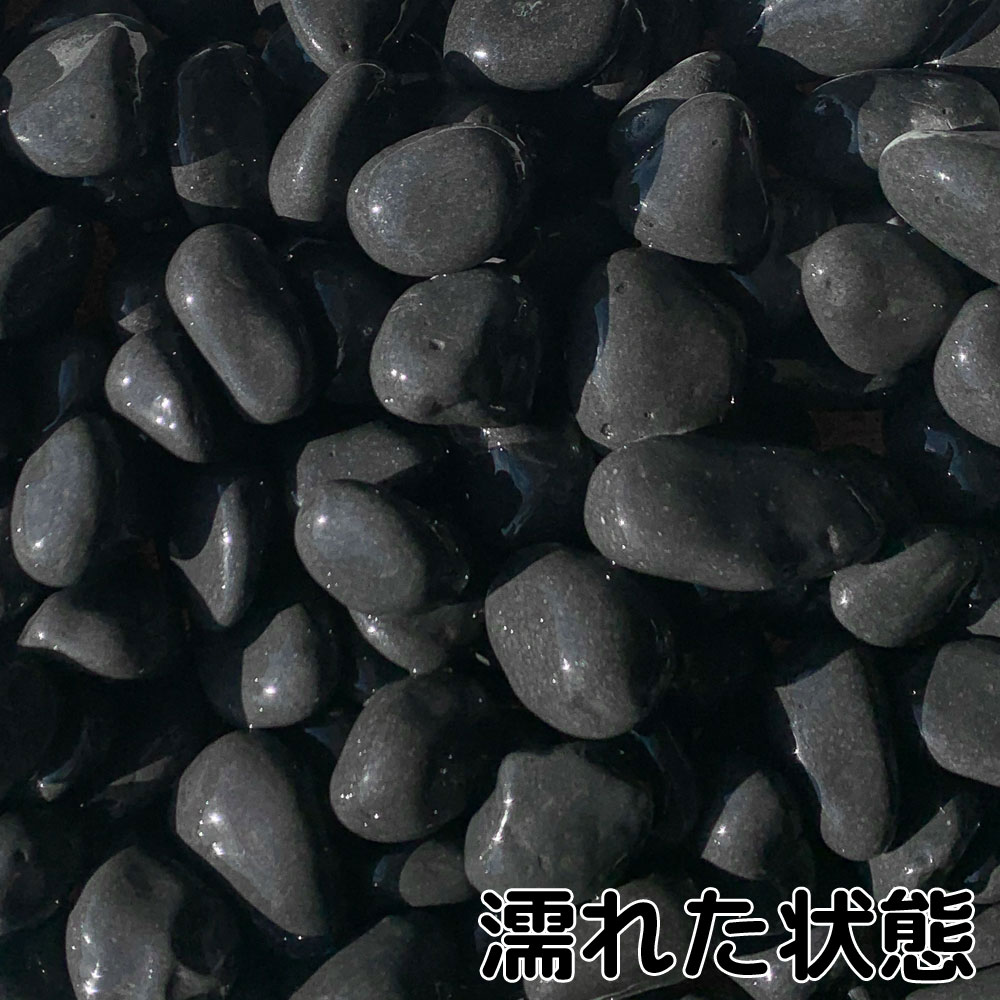 特撰那智 1寸 20kg