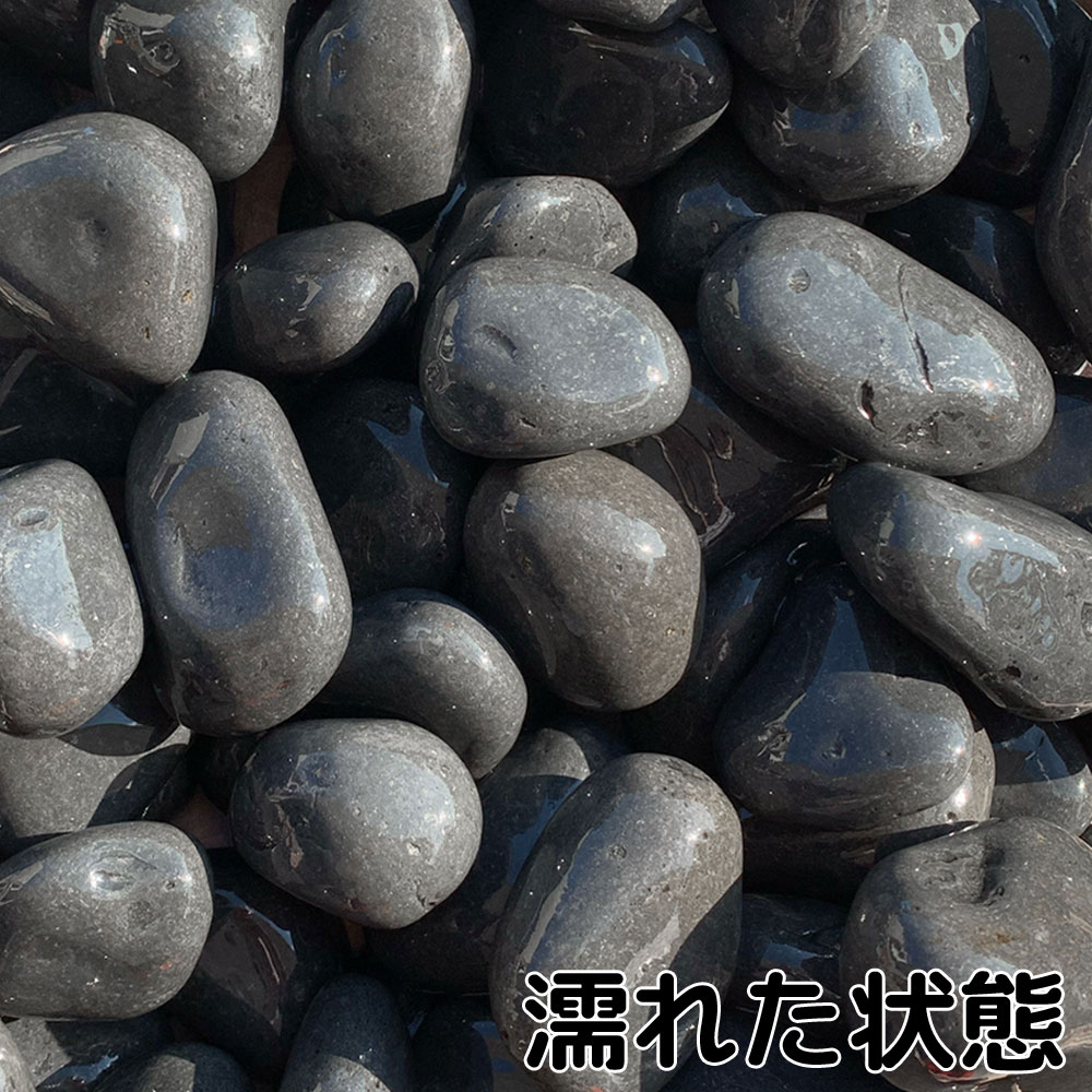 特撰那智 1.5寸 20kg