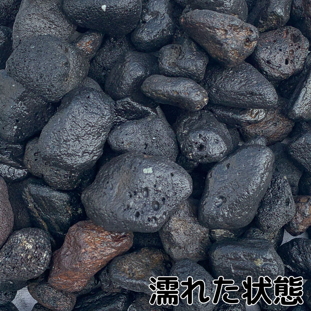 中国溶岩砂利 1.5寸 10kg