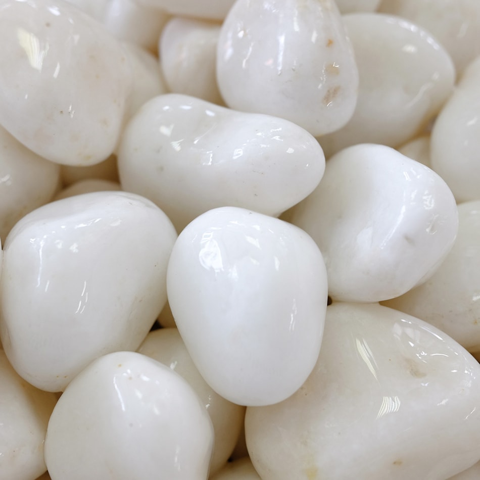 白仙 1.5寸 20kg