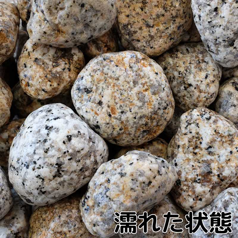 伊勢ゴロタ 1.5寸 20kg