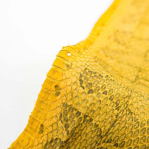 【セット販売】パイソン革＆ラウンドファスナーウォレット(ナチュラルパール) セット