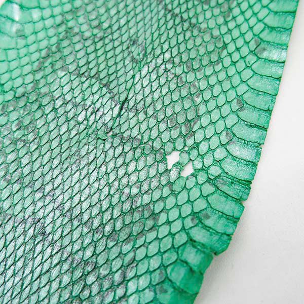 【セット販売】パイソン革＆ラウンドファスナーウォレット(ナチュラルパール) セット