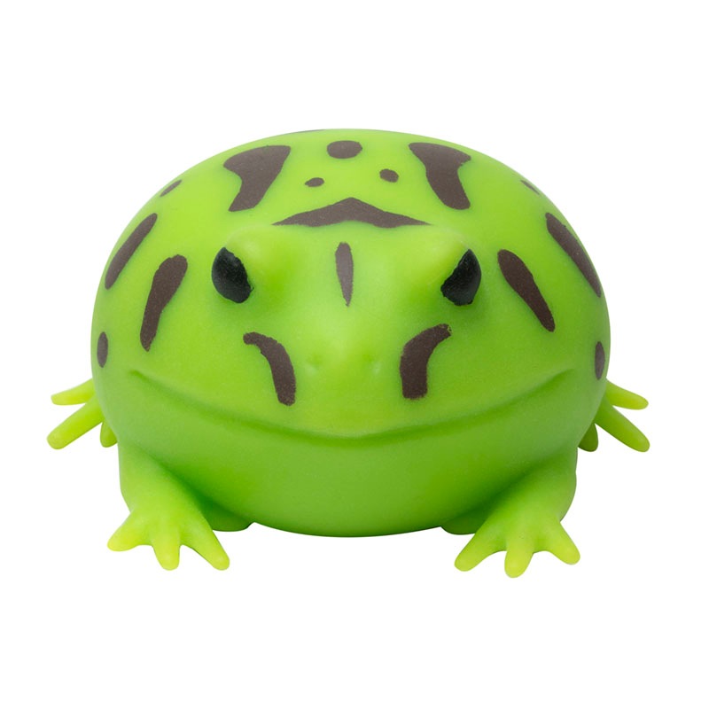 ベルツノガエル