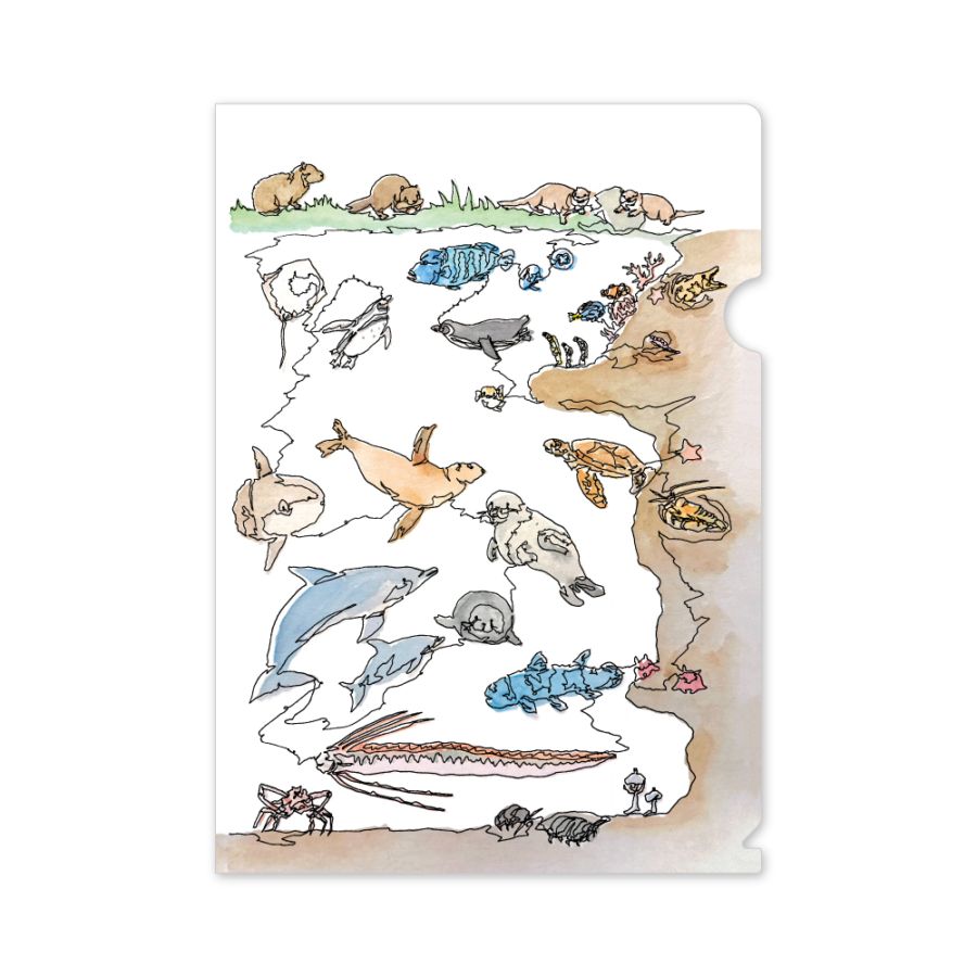 2Pクリアファイル minaco sakamoto（MV）