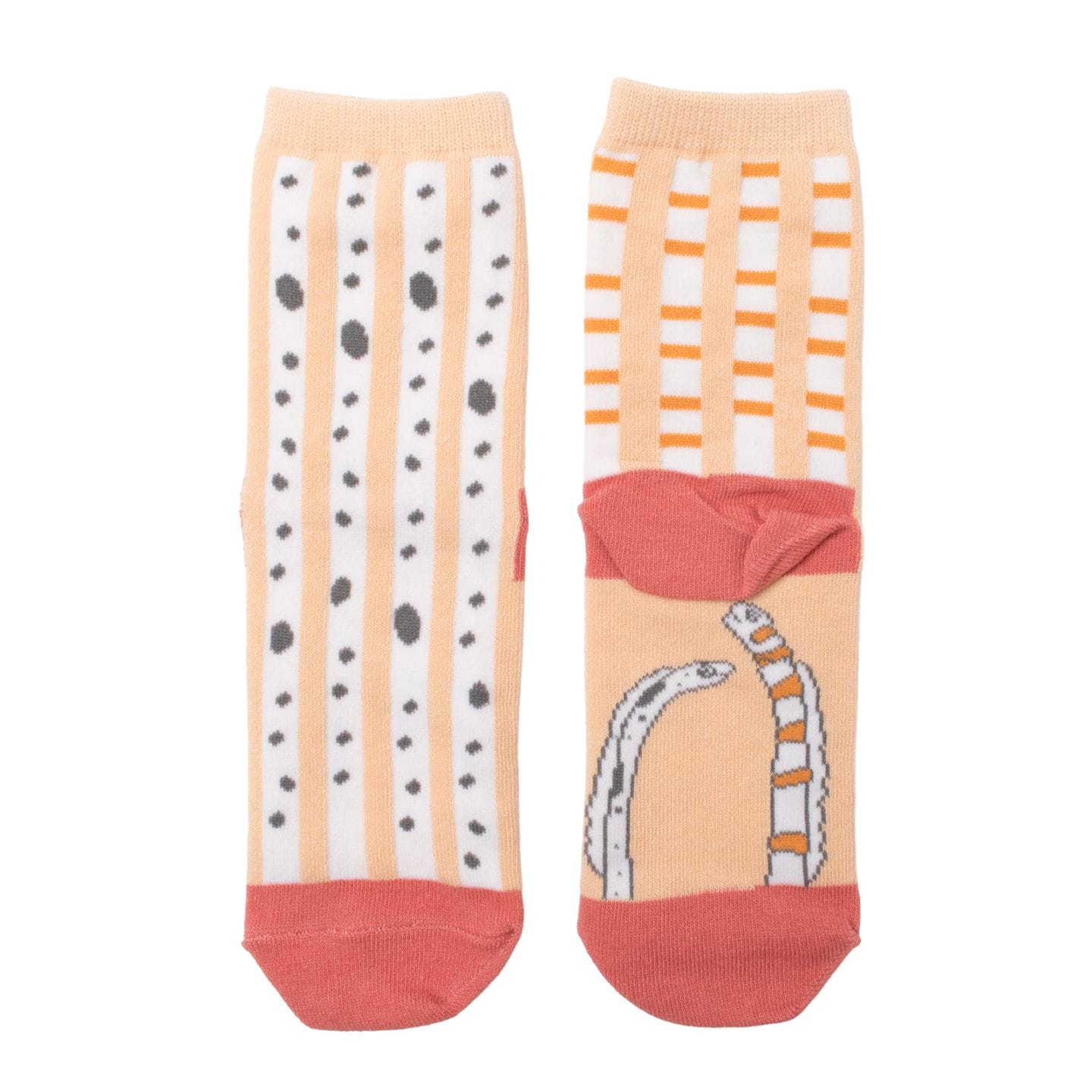 靴下 minaco sakamoto (チンアナゴ・ニシキアナゴ)