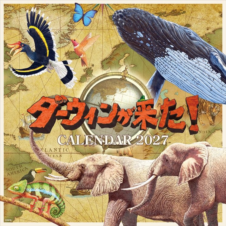 ダーウィンが来た！2027年壁掛けカレンダー