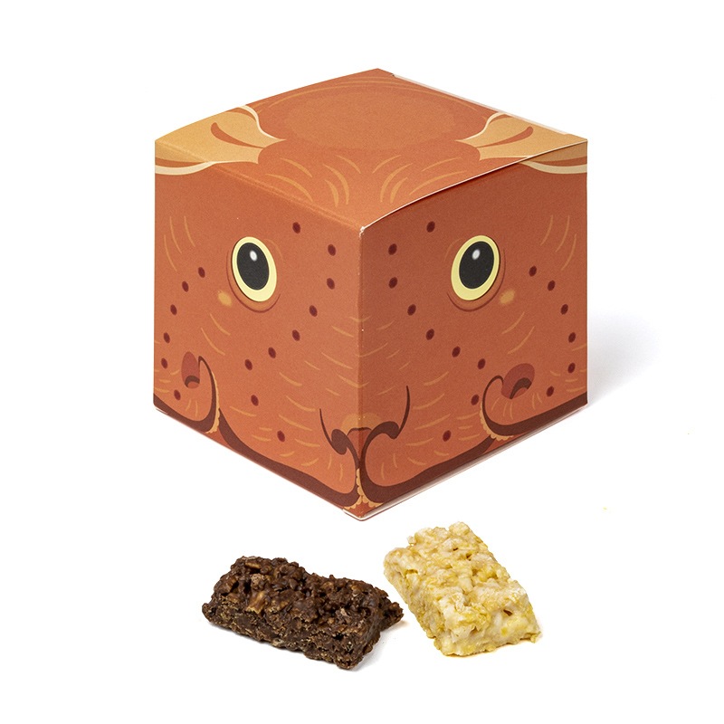 Cube BOX 大 メンダコ