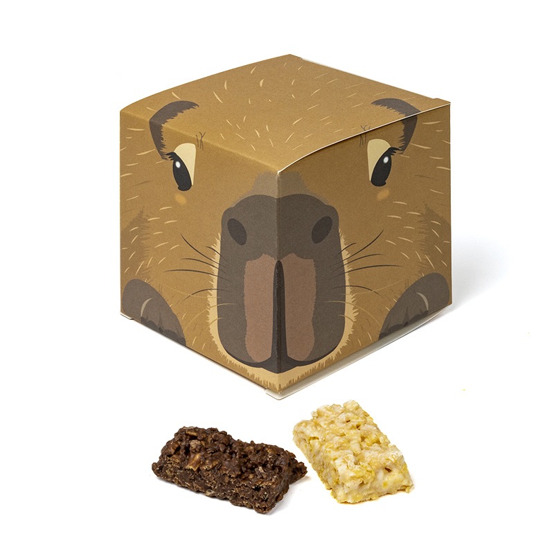 Cube BOX 大 カピバラ