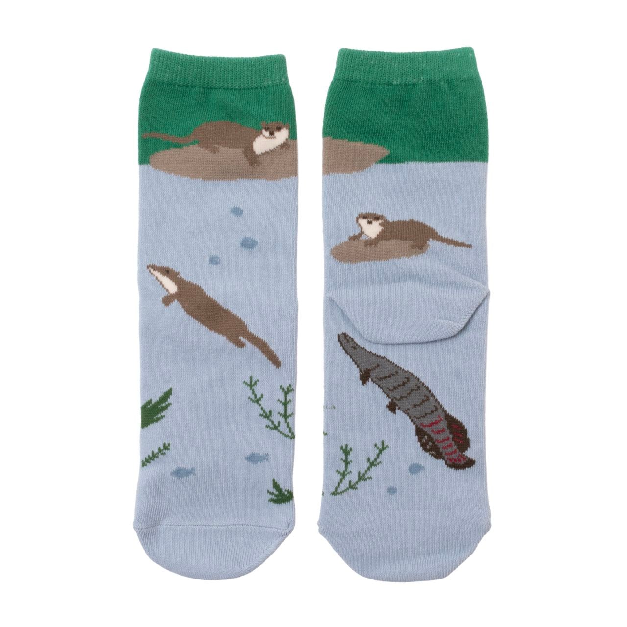 靴下 minaco sakamoto (カワウソ)